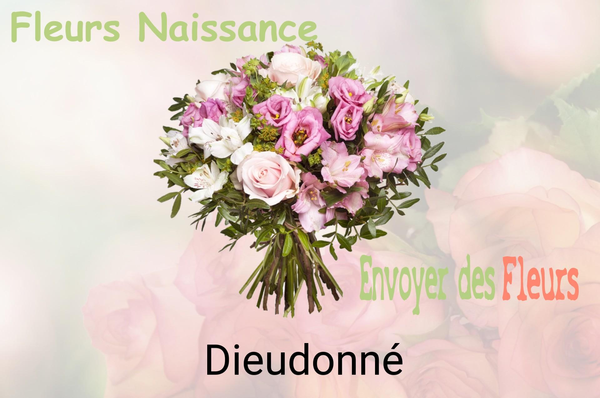 Bouquet de fleurs de naissance livré à Dieudonné