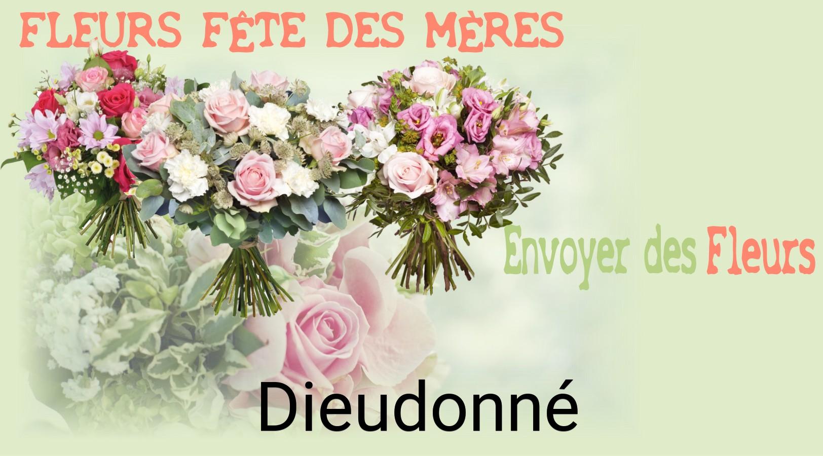 Bouquet de Fête des Mères livré à Dieudonné